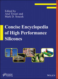 Concise Encyclopedia of High Performance Silicones