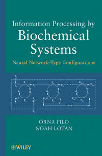 Information Processing by Biochemical Systems. Neural Network-Type Configurations