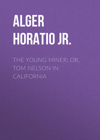 The Young Miner; Or, Tom Nelson in California