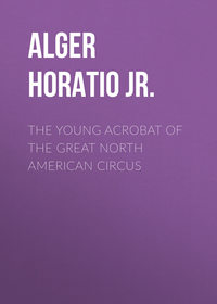 The Young Acrobat of the Great North American Circus