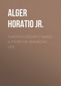 Timothy Crump&apos;s Ward: A Story of American Life