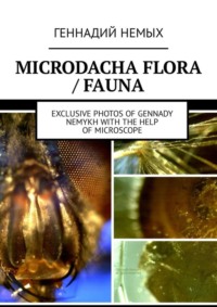 Microdacha flora / fauna. Exclusive photos of Gennady Nemykh with the help of microscope