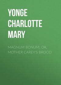 Magnum Bonum; Or, Mother Carey&apos;s Brood