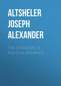 The Candidate: A Political Romance