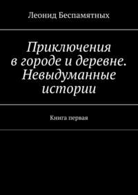 Приключения в городе и деревне. Невыдуманные истории. Книга первая