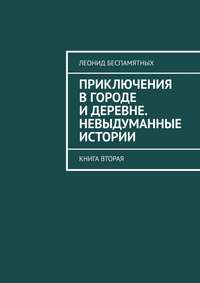 Приключения в городе и деревне. Невыдуманные истории. Книга вторая