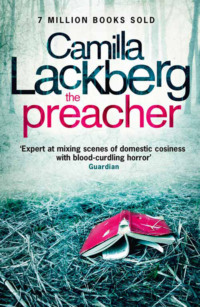 Camilla Lackberg Crime Thrillers 1-3: The Ice Princess, The Preacher, The Stonecutter