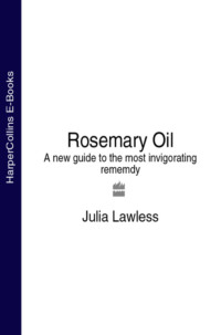 Rosemary Oil: A new guide to the most invigorating rememdy