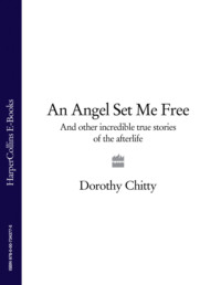 An Angel Set Me Free: And other incredible true stories of the afterlife