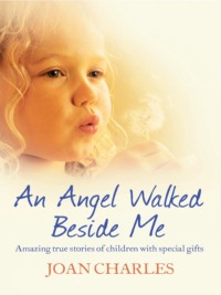 An Angel Walked Beside Me: Amazing stories of children who touch the other side