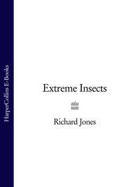 Extreme Insects