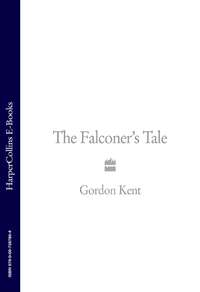 The Falconer’s Tale