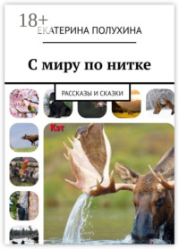 С миру по нитке. Рассказы и сказки