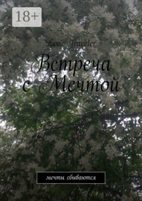 Встреча с мечтой. Мечты сбываются