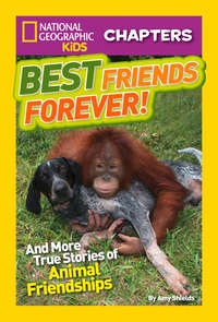 National Geographic Kids Chapters: Best Friends Forever: And More True Stories of Animal Friendships