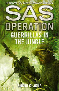 Guerrillas in the Jungle