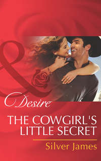 The Cowgirl's Little Secret