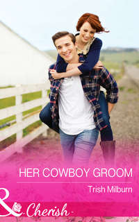 Her Cowboy Groom