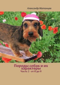 Породы собак и их характеры. Часть 2 – от К до Я