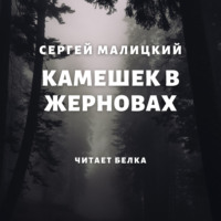 Камешек в жерновах