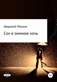 Сон в зимнюю ночь