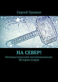 На север! Оптимистический постапокалипсис. История вторая