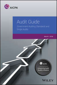 Audit Guide