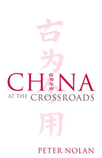 China at the Crossroads