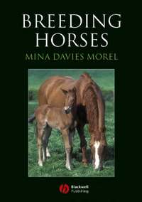 Breeding Horses