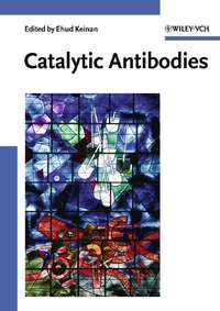 Catalytic Antibodies