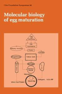 Molecular Biology of Egg Maturation