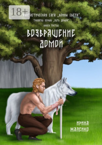 Возвращение домой. Книга третья. Фантастическая сага «Воины света». Трилогия первая «Путь домой»