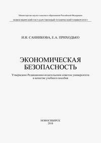 Экономическая безопасность