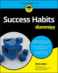 Success Habits For Dummies