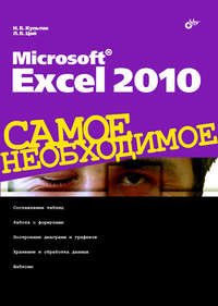 Microsoft Excel 2010