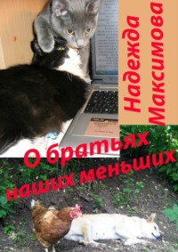 О братьях наших меньших