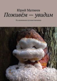 Поживём – увидим. По дневникам путешественника