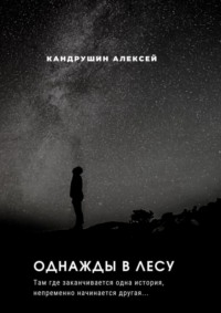 Однажды в лесу. Там где начинается одна история, непременно начинается другая…