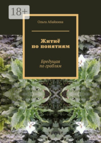 Житиё по понятиям. Бредущая по граблям