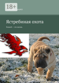 Ястребиная охота. Хоккей – это жизнь