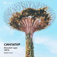 Ключевые идеи книги: Сингапур. Восьмое чудо света. Юрий Сигов