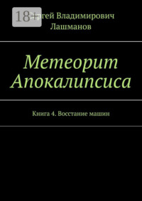 Метеорит Апокалипсиса. Книга 4. Восстание машин