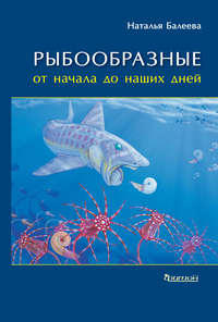 Рыбообразные от начала до наших дней