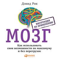 Мозг. Инструкция по применению. Как использовать свои возможности по максимуму и без перегрузок