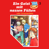 Pizzabande, Folge 3: Ein Geist mit nassen Füßen (oder Computerdiebe)
