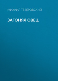 Загоняя овец