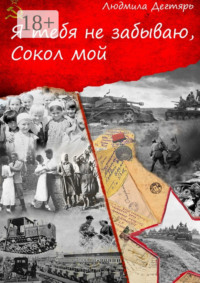 Я тебя не забываю, Сокол мой