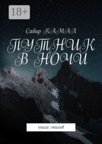 Путник в ночи. Книга стихов