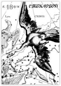 Стеклобой. Киноповесть