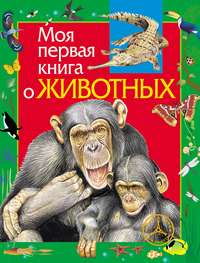 Моя первая книга о животных